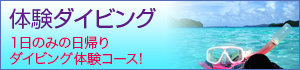 体験ダイビング 1日のみの日帰りダイビング体験コース！